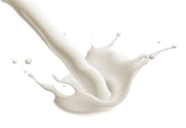 Milk