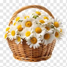 Flower Basket